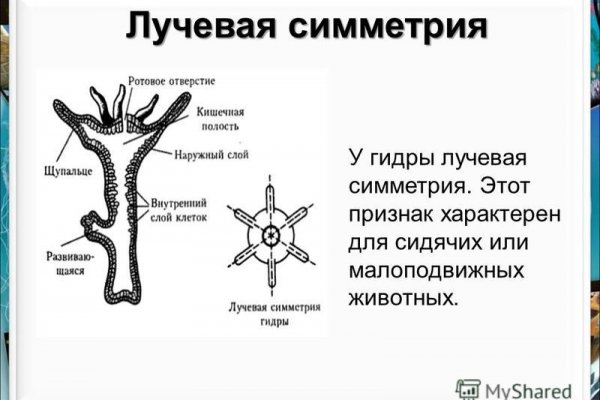 Kraken актуальные ссылки официальный сайт