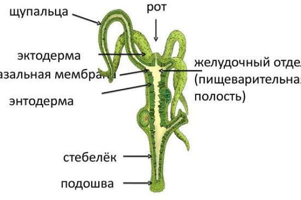 Не пришли деньги на кракен